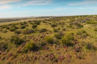  Bedroom Property for Sale in Fauresmith Rural Free State